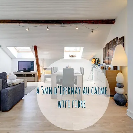 Apartment « le Bidule », Au Coeur De La Champagne Chouilly